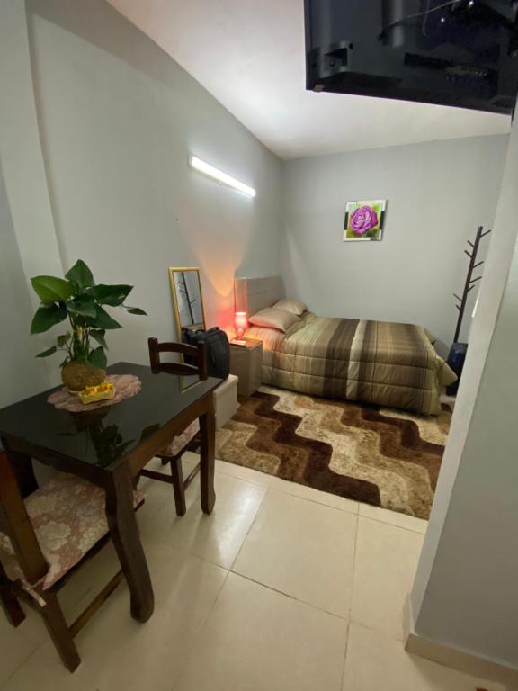 Lujoso ,cómodo MONOAMBIENTE