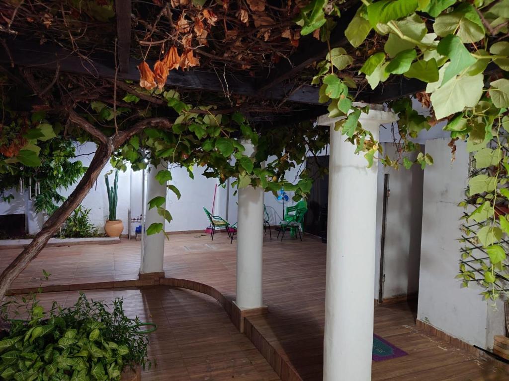 Hostel Chaton Hostel Chaton